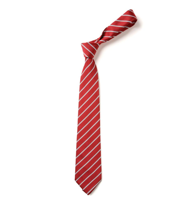 Belle Vue Primary - Neck Tie