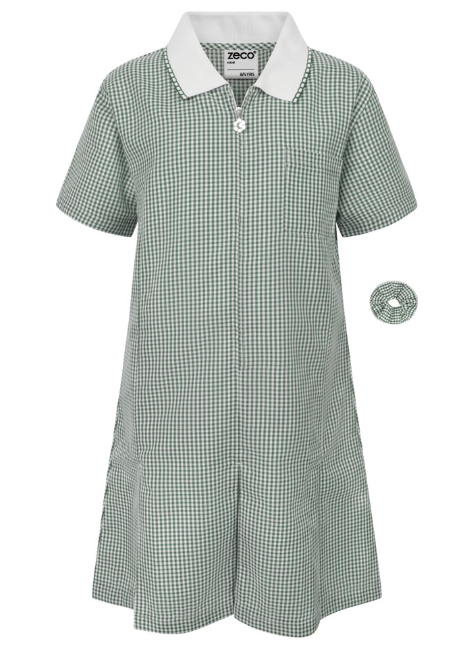 Green Gingham Dress