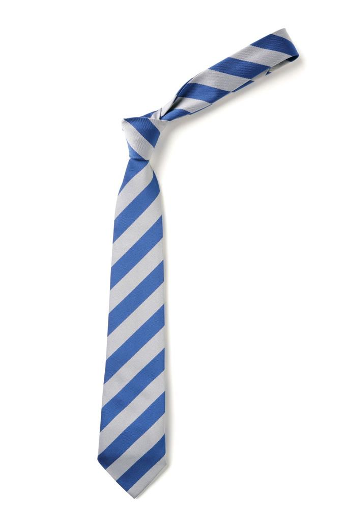 Glynne Primary - Neck Tie
