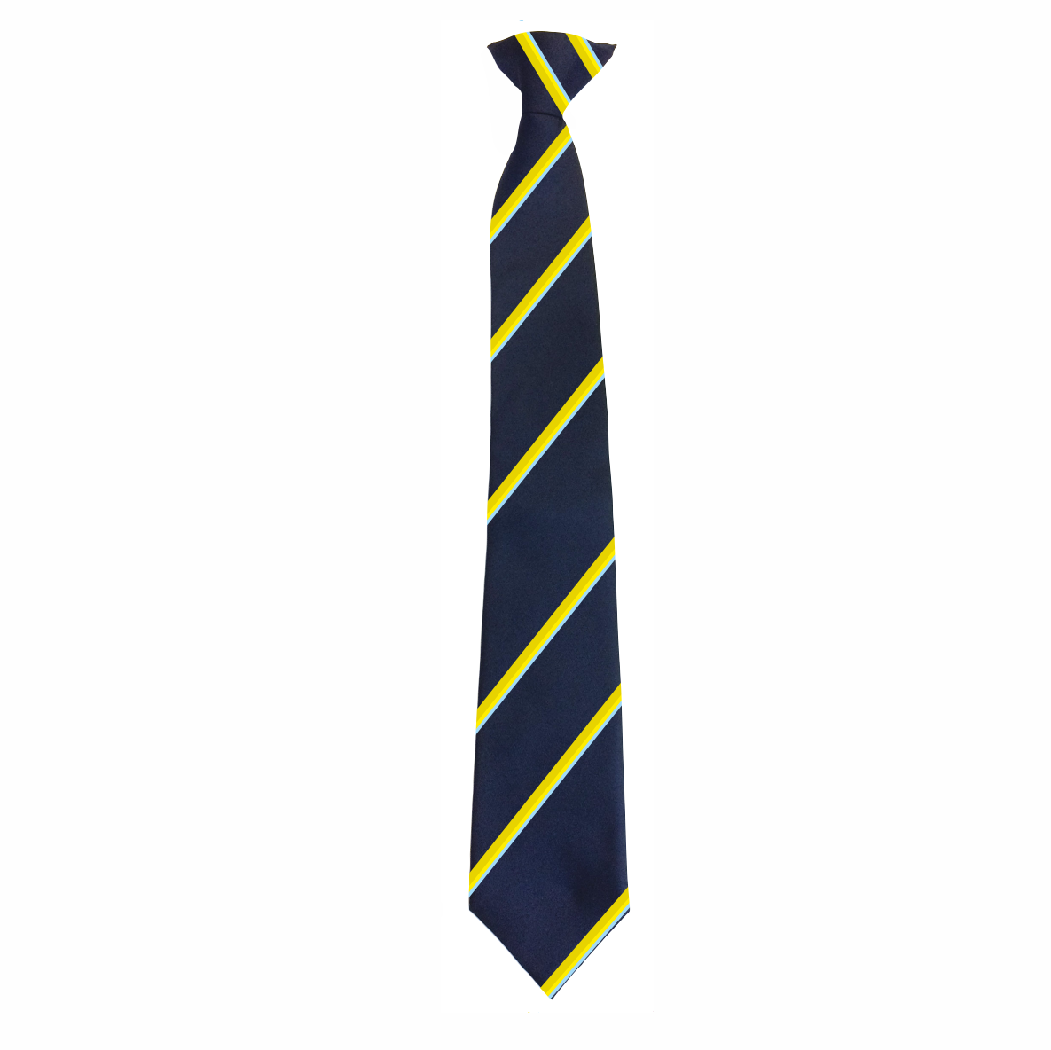 Wombourne High - House Tie