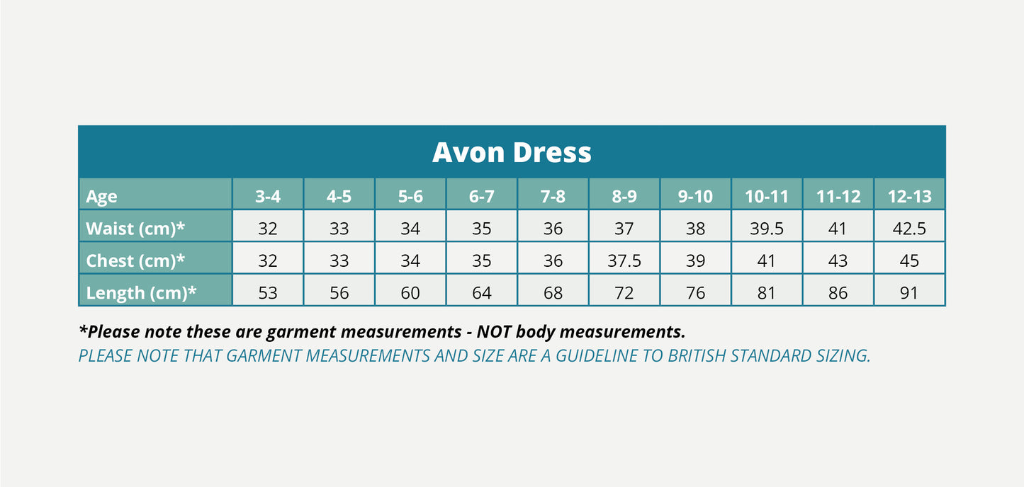 Banner - Blue Gingham Dress