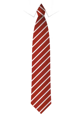 Crestwood Park/ Belle Vue Primary - Clip-on Tie
