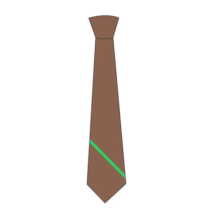 Haybridge High School - Year 11 Tie