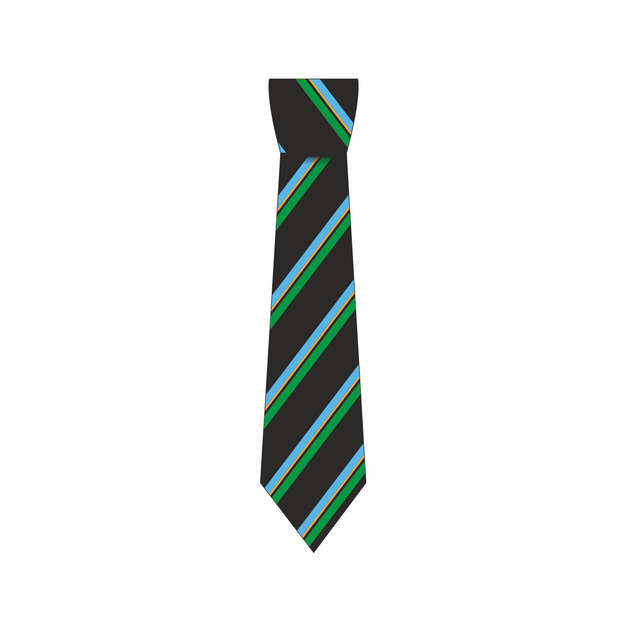 Kingswinford Academy - Tie