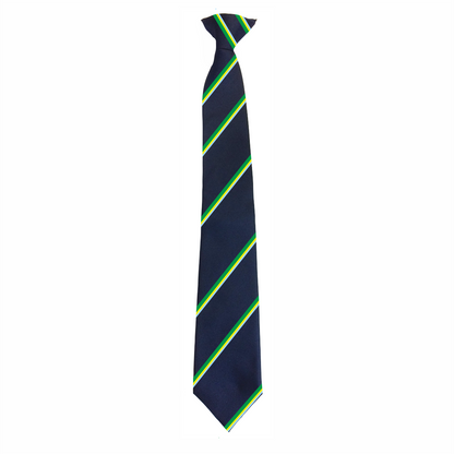 Wombourne High - House Tie