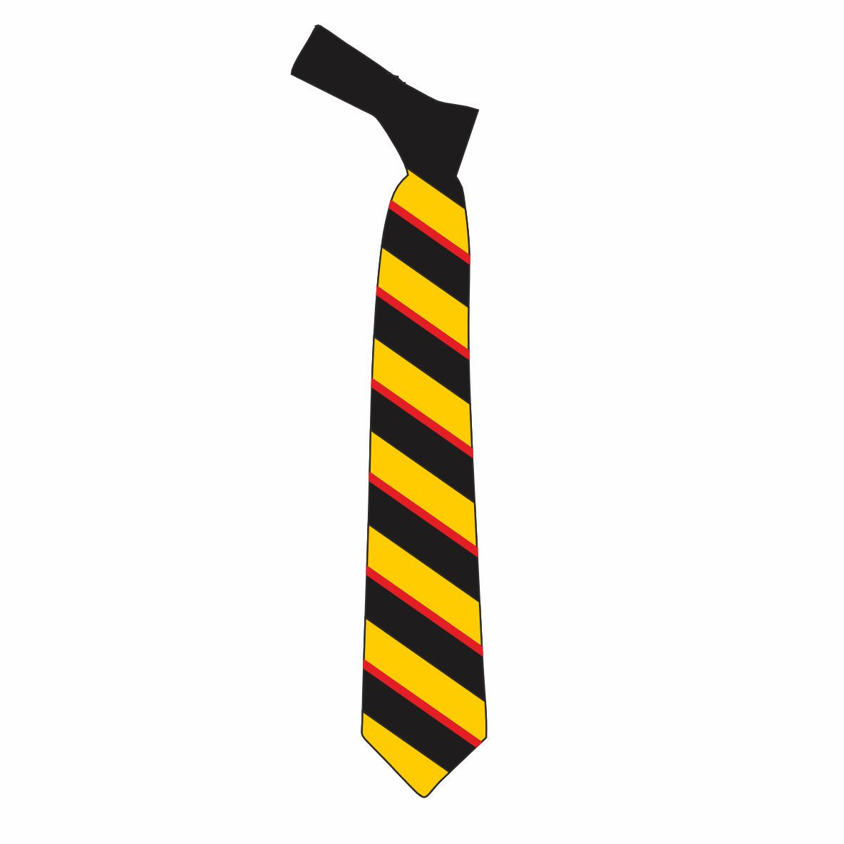 Kingswinford Academy - Year 11 Tie