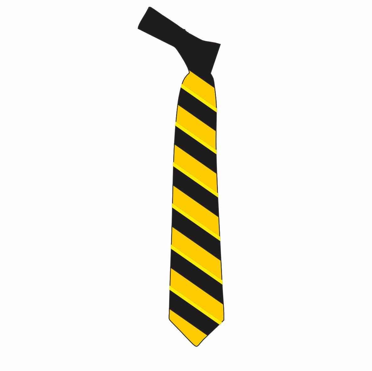 Kingswinford Academy - Year 11 Tie
