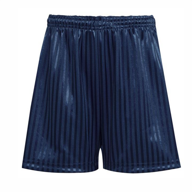 Navy shadow stripe PE Shorts